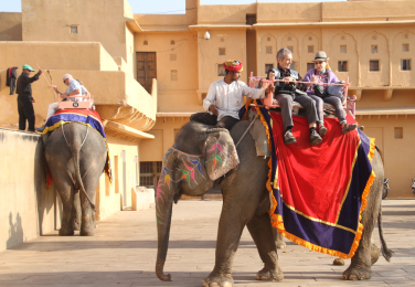 Jaipur Elephant Safari Tour